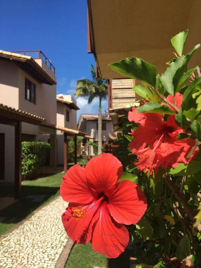 Chalé Carpe Diem - Pipa Beleza Praia de Pipa Exterior foto